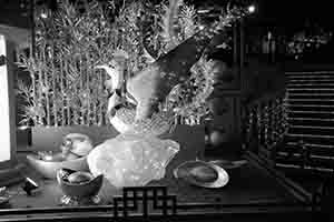 Lunar New Year decorations, Grand Millennium Plaza, Sheung Wan, 12 January 2017