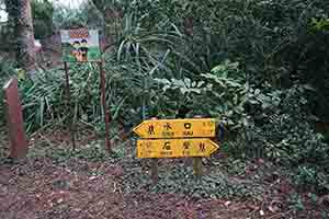 Hiking route signage for Shui Hau and Shek Pik , Lantau, 15 January 2017