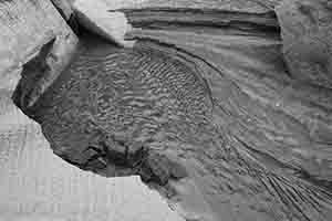 Shui Hau Wan, Lantau, 15 January 2017