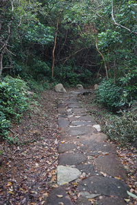 Footpath, Lantau, 15 January 2017