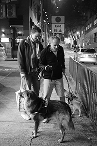 Friends walking their dogs, Po Yan Street, Tai Ping Shan, 17 January 2017