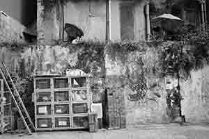 Construction site lockers in an alley, Sai Ying Pun, 20 January 2017