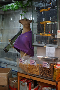 A deer with a gun inside a dried food shop, Ko Shing Street, Sheung Wan, 20 January 2016