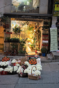 Florist, Wellington Street, Central,  20 January 2017