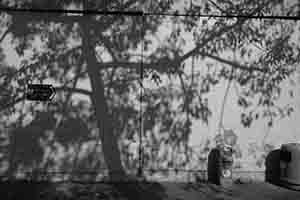 Shadows of trees on the wall of Sam Tung Uk Museum, Tsuen Wan,  21 January 2017