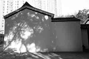 Shadows of trees on the wall of Sam Tung Uk Museum, Tsuen Wan,  21 January 2017