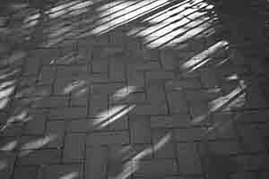Shadows of railings, Queen's Road West, Sheung Wan, 22 January 2017