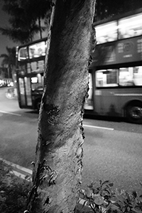 Man Kwong Street, Central, at night, 24 January 2017