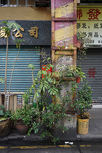 Roadside scene, Kowloon, 28 January 2017