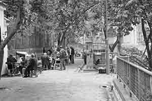 Lower Lascar Row, Sheung Wan, 31 January 2017