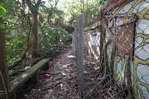 Overgrown abandoned house, near Tung O, Lamma Island, 8 January 2017