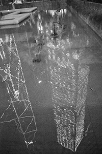 Bank of China Tower and Cheung Kong Center reflected in a pond at Chater Garden, Central, 10 February 2017