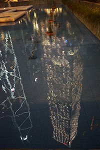 Bank of China Tower and Cheung Kong Center reflected in a pond, Chater Garden, Central, 10 February 2017