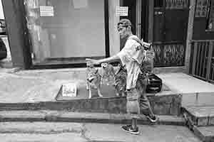 Man with dogs, Tai Ping Shan, 18 February 2017