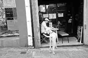 Dog outside a cafe, Tai Ping Shan Street, Tai Ping Shan, 18 February 2017