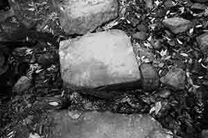 Rocks and a stream, Tai Po Kau Nature Reserve, 19 February 2017