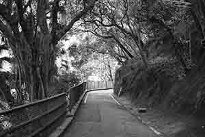 Bowen Road, Wanchai, 5 February 2017