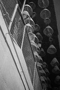 Incense coils hanging inside Pak Shing Temple, Tai Ping Shan Street, Tai Ping Shan, 7 February 2017