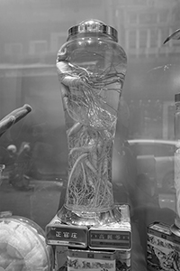 Shop window display with ginseng specimen, Sheung Wan, Central, 12 March 2017