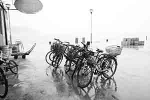 Bicycles parked near the ferry pier, Mui Wo, Lantau, 19 March 2017