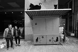 Cat silhouette decorations on a street stall, Queen's Road West, Sai Ying Pun, 4 March 2017