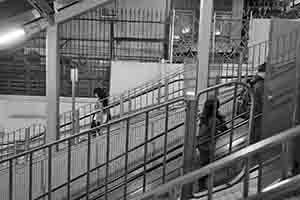 Escalator, Centre Street, Sai Ying Pun, 28 March 2017