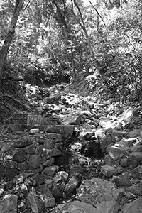 Stream, Lung Fu Shan, 2 April 2017