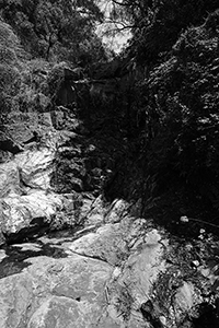 Stream near a hiking track, Lung Fu Shan, 2 April 2017