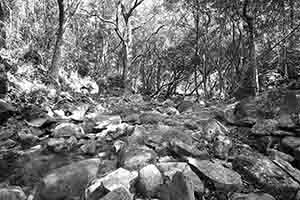 Rocky stream near the Hong Kong Trail, Aberdeen Country Park, Hong Kong Island, 2 April 2017