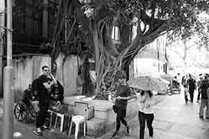 Tree, Cheung Chau, 4 April 2017