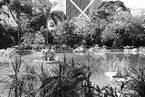 Pond, Hong Kong Park, Central, 27 May 2017