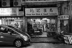 Shops, Tai Wong Street East, Wanchai, 13 June 2017