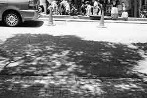 Shadows of trees, Possession Street, Sheung Wan, 26 July 2017