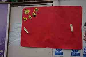 A parody of the Chinese flag, Causeway Bay, 1 July 2017