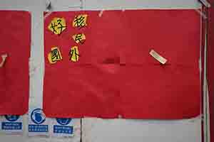 A parody of the Chinese national flag, Causeway Bay, 1 July 2017