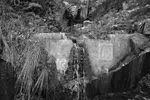 Stream, Tai Tam Country Park, 13 August 2017
