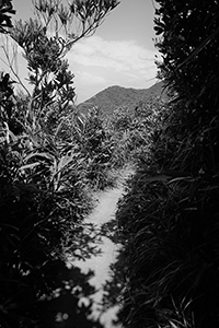 Shadows on a path, Tai Tam Country Park, Hong Kong Island, 13 August 2017