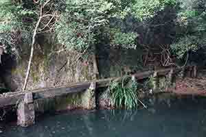 Tai Tam Country Park, 13 August 2017