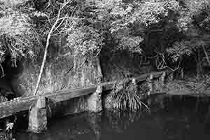 Tai Tam Country Park, 13 August 2017