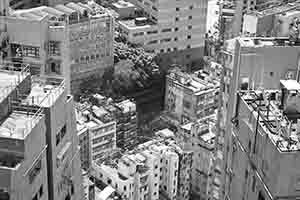 View of Sai Ying Pun from Sheung Wan, Hong Kong Island, 15 August 2017