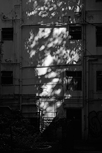 Light and shadow on the wall of building, Sheung Wan, 15 August 2017