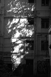 Light and shadow on the wall of a building, Sheung Wan, 15 August 2017