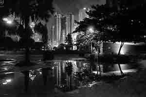 Water puddle with reflections, in Sun Yat Sen Memorial Park, Sheung Wan, 23 August 2017
