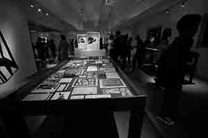 Artwork by Tozer Pak, viewed at the exhibition opening of 'Chris Evans, Pak Sheung Chuen: Two Exhibitions', Para Site, King's Road, Quarry Bay, 22 September 2017