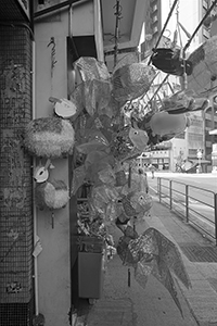 Lanterns on sale for the Mid-Autumn Festival, Queen's Road West, Sai Ying Pun, 27 September 2017