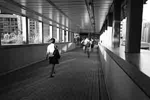 On a footbridge linking HKU and the HKU MTR station, Pokfulam, 8 September 2017