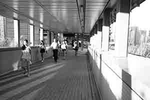 On a footbridge linking HKU and the HKU MTR station, Pokfulam, 8 September 2017