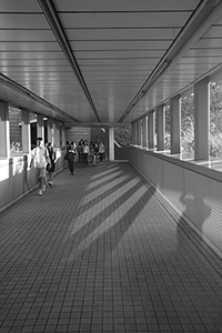 On a footbridge linking HKU and the HKU MTR station, Pokfulam, 8 September 2017