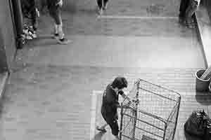 Worker transporting goods, off New Market Street, Sheung Wan, 18 November 2017