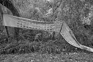 Protest banner, Tung Ping Chau, Mirs Bay, 26 November 2017